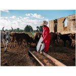 Trade Polycotton Conti Suit - Image 10