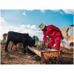 Trade Polycotton Conti Suit - Image 8