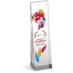 Altitude Hubris Award - Image 5